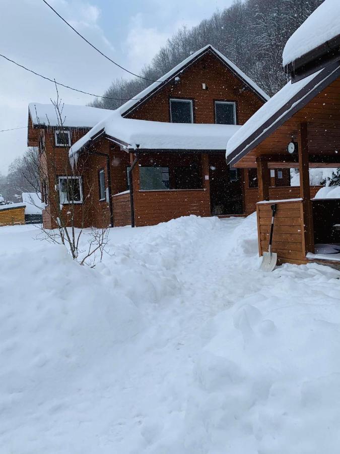 Bieszczadzki Klin Bklin Villa Cisna Exterior photo